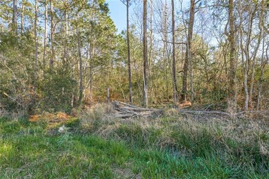 00 Ruth St, Mandeville, LA 70471 - photo 4