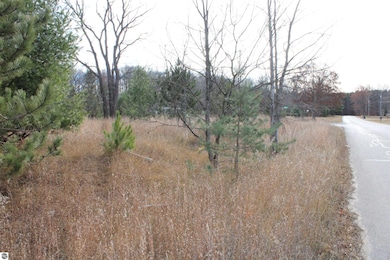 0 Indian Trail unit 1940617, Buckley, MI 49620 - photo 3