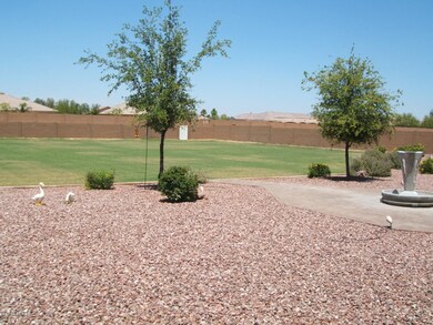 Back yard looking N/E