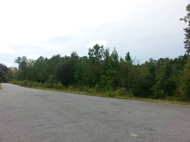 Lot 5 Decey Wallace Ln, Crawfordville, FL 32327 - photo 4