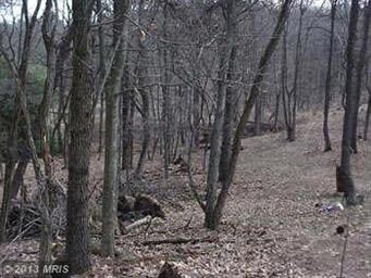 391 Gaither Rd, Great Cacapon, WV 25422 - photo 6