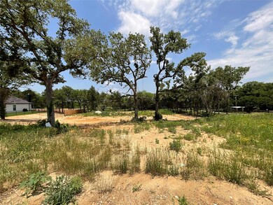 1000 Meadow Wood Terrace, Azle, TX 76020 - photo 3