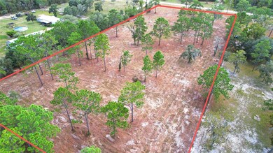 0 SE 53rd Ln, Morriston, FL 32668 - photo 2