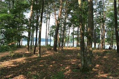 1548 Reflection Pointe Blvd unit 253, Belmont, NC 28012 - photo 4