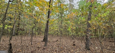 12895 Highway 36, Covington, GA 30014 - photo 6