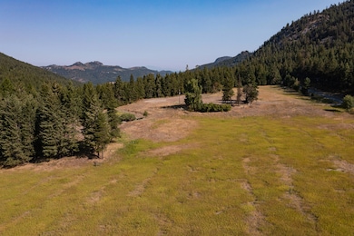 1433 Clugston Onion Freddie Mac-5