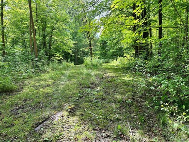 TBD N Blackduk Lake Rd, Blackduck, MN 56647 - photo 3