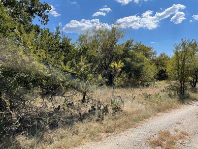 00 Grandview Dr, Lake Brownwood, TX 76801 - photo 3