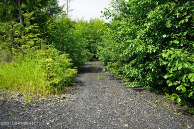 DSC01041