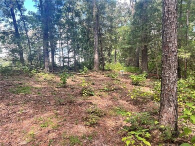 131 Bud Ates Rd, Pollock, LA 71467 - photo 3