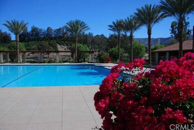 The resort junior Olympic pool