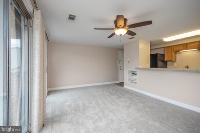 3381 Yost Ln unit 204, Dumfries, VA 22026 - photo 6