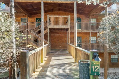 24 Village Trail unit 8, Branson, MO 65616 - photo 2