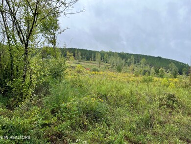 IMG_0185