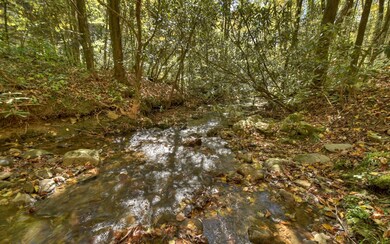 11937 Old Ccc Camp Rd, Ellijay, GA 30540 - photo 2