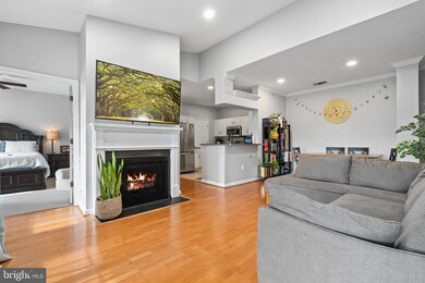 4551 Strutfield Ln unit 4420, Alexandria, VA 22311 - photo 6