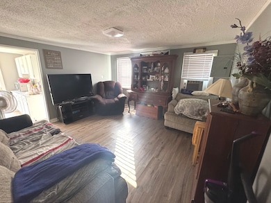 133 N East Ave, Amboy, IL 61310 - photo 6