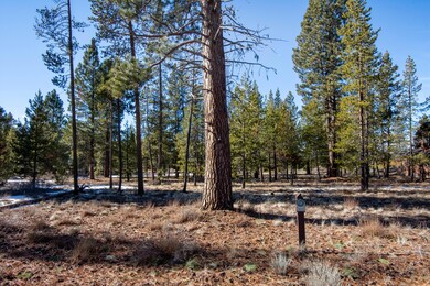 311 Trailmere Circle-2