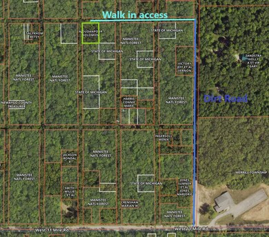 V/L Woodland Park Lots 5 To 9, Bitely, MI 49309 - photo 6