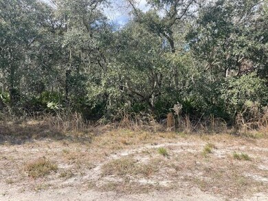 lot side view SW 72nd Cir