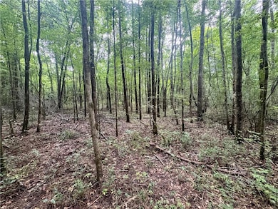 tbd Route 6, Natchitoches, LA 71457 - photo 5