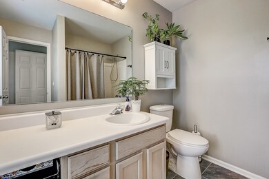 24191 Pear Tree Cir unit 171201, Plainfield, IL 60585 - photo 4