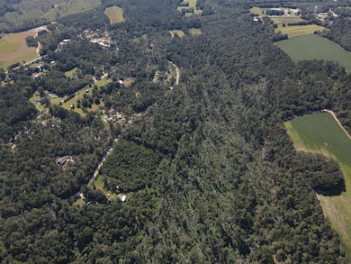 11c & 12c Mini Farms Rd, Keysville, GA 30815 - photo 6