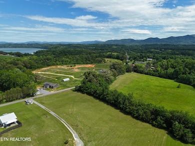 Drone view