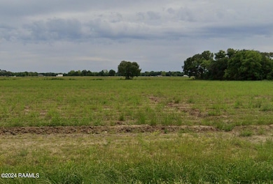 L-1 Soop Rd, Maurice, LA 70555 - photo 3