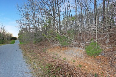 35 Bob Morris Ln, Stewart, TN 37175 - photo 2