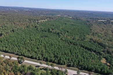 0000 Armstrong Rd, Pangburn, AR 72121 - photo 5