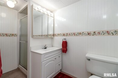 4607 25th Ave, Rock Island, IL 61201 - photo 3