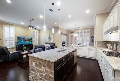 25646 Lakota Winter, San Antonio, TX 78261 - photo 4