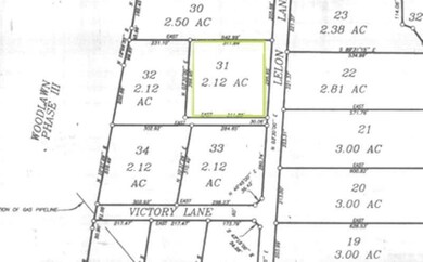 241A Lelon Ln, Springtown, TX 76082 - photo 4