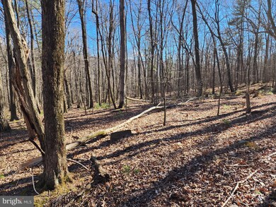 LOTS 8 & 9 Howard Delawder Ln, Mathias, WV 26812 - photo 4