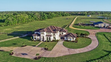 5217 Fm 2919 Rd, East Bernard, TX 77435 - photo 2