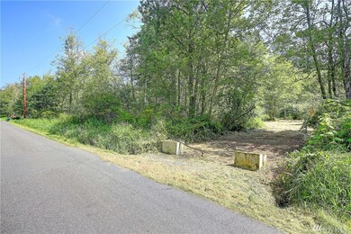 200 241st St NW, Stanwood, WA 98292 - photo 3