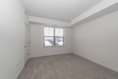 21599 W Field Ct unit 10-203, Deer Park, IL 60010 - photo 4