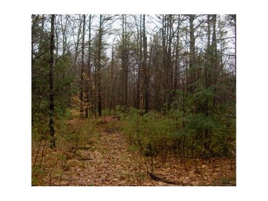 Logging landing to see lot