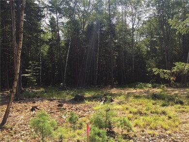 Septic/leach field area.