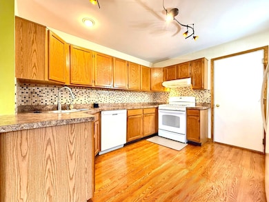 1537 Chatfield Ct unit 13604, Roselle, IL 60172 - photo 4