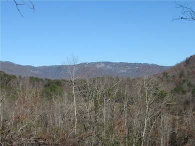 Tracts 34, 35, 36 Curts Way, Cleveland, SC 29635 - photo 2