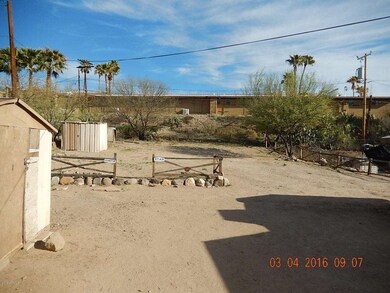 back yard