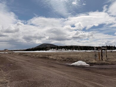 2533 E Meadow Lake Dr, Brian Head, UT 84719 - photo 6