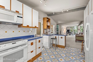 15 Terrace Dr, Snowmass Village, CO 81615 - photo 7