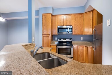 8312 Snowy Egrit Way unit 42, Lorton, VA 22079 - photo 7