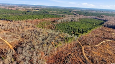 TBD S Carolina 34, Bishopville, SC 29010 - photo 2