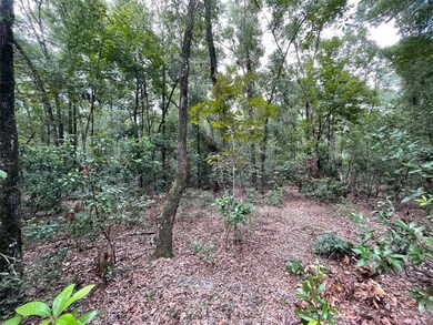 0 280th St unit GC508008, Branford, FL 32008 - photo 7