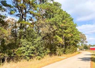 0 Frank Cloud Rd, Huntsville, TX 77320 - photo 6