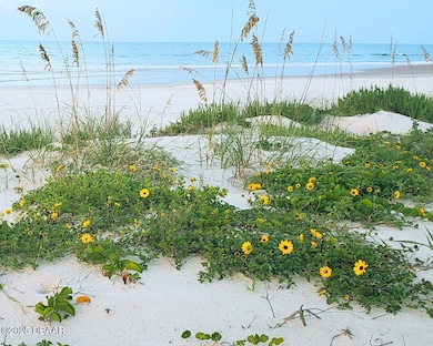 Beach Dunes